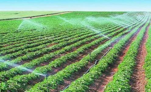 粉嫩美逼的诱惑农田高 效节水灌溉